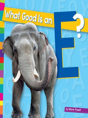 cover image of What Good Is an E?